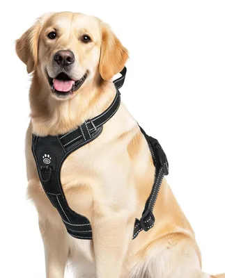 Produktbild von Hundegeschirr Mittelgroße Hunde Brustgeschirr Schwarz M mit Reflexstreifen