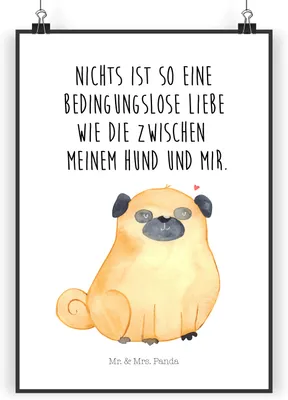 Produktbild von Mr. & Mrs. Panda Bild Mops DIN A4 - Weiß - Geschenk, Sprüche, Kunstdruck, drucke, Wanddekoration, Plakat, Wandbild, Hund, Pure Liebe, Knuffig