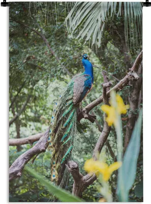 Produktbild von MuchoWow® Wandteppich Wandbehang Pfau - Blau - Wald 60x90 cm Tapisserie Dekoration Wandtuch - Foto-Teppich - Abwaschbar