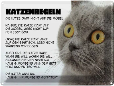 Produktbild von vianmo Blechschild 30x40 cm Katzenregeln Katze darf nicht