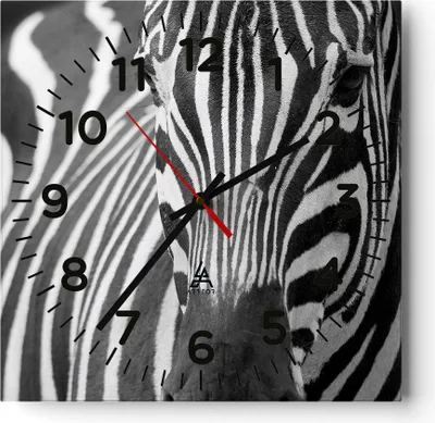 Produktbild von Wanduhr - Quadrat - Glasuhr - Tiere Zebra gestreift - 30x30cm - Schleichendes Uhrwerk - Lautlos - zum Aufhängen bereit - Dekoration Modern - Wanddekoration aus Glas - C4AC30x30-2254