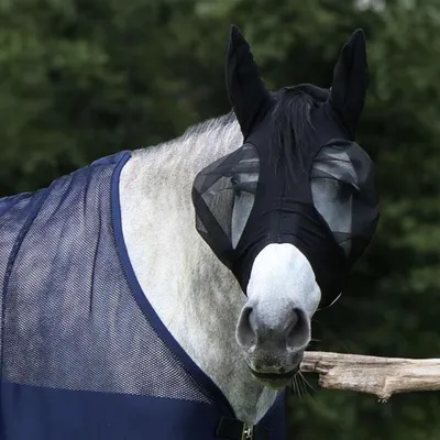 Produktbild von EQuest Fliegenmaske Flexi Fly Guard Mesh, Farbe: schwarz, Größe:Pony/VB