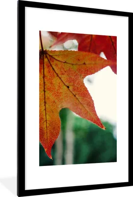Produktbild von MuchoWow® Gerahmtes Poster Herbst - Landleben - Blätter - Jahreszeiten - Landleben 60x90 cm - Poster mit Schwarzem Bilderrahmen Wandposter Rahmen Foto Bilder - Dekoration - Wandposter Wohnzimmer - Hochwertig