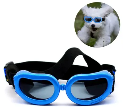 Produktbild von Hundesonnenbrille, UV-Schutz, wasserdicht, verstellbar, für kleine Hunde/Katzen, Blau