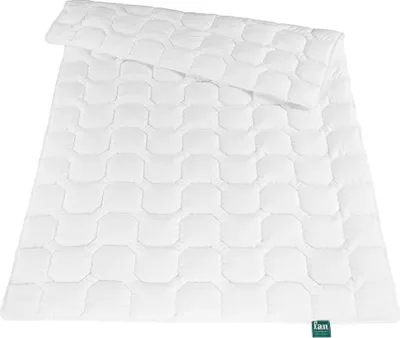 Image de f.a.n. Frankenstolz Kansas Couette légère 135x200