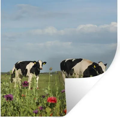 Produktbild von MuchoWow® Wandtattoo Wandsticker Wandaufkleber Kuh - Blumen - Gras - Tiere 50x50 cm Selbstklebend und Repositionierbar - Selbstklebend - Fototapeten