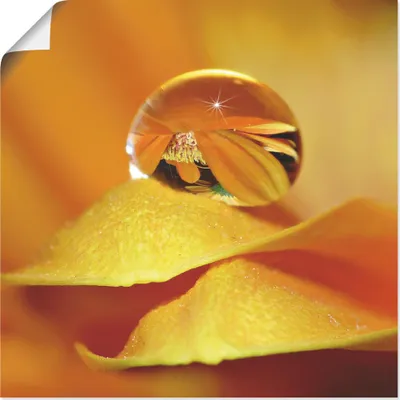 Produktbild von ARTland Poster Wassertropfen II Größe: 70x70 cm