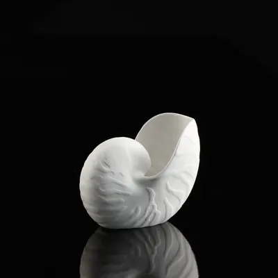 Produktbild von Goebel Kaiser Porzellan Conch Vase 15 cm - Conch Neuheit 2020 14004901