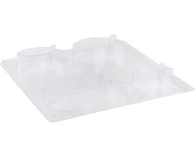 Produktbild von Gießform PET Fische 4 Größen 7,5-14,5 x 3 cm