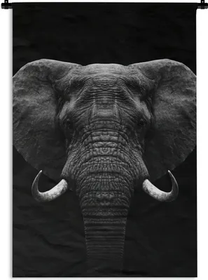 Produktbild von MuchoWow® Wandteppich Wandbehang Tiere - Elefant - Porträt - Schwarz - Weiß 90x135 cm Tapisserie Dekoration Wandtuch - Baumwolle - Wandskulptur