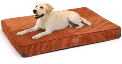 Produktbild von Orthopädisches Hundebett 107x76x10 cm Orange