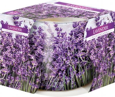 Nohel Garden Svíčka ve skle LAVENDER 100g