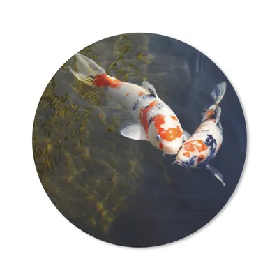 Produktbild von MuchoWow® Mauspad Mousepad Zwei Koi-Karpfen im Wasser 20x20 cm - Mousepads - Maus Mat - Pad - Mausunterlage - Schreibtischmatte