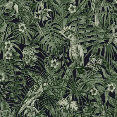 Obrázek produktu pro A.S. Création jungle wallpaper greenery bird wallpaper netkaná tapeta zelená černá 10,05 m x 0,53 m