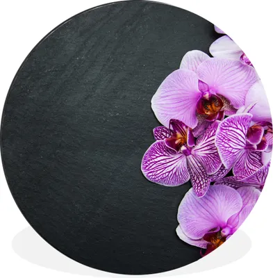Produktbild von MuchoWow® Aluminium Wandkreis Orchidee - Blumen - Rosa - Flora Ø 60 cm Wanddeko Modern Wohnzimmer - Wand Kreis - Wandbild - Schlafzimmer - Aluminium Bild - Kinderzimmer - Wohnzimmer Dekoration - Wandschmuck