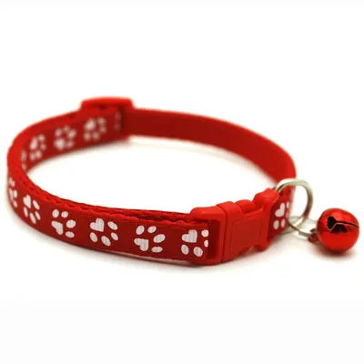 Produktbild von Hundehalsband Pfote 1x19-32cm Rot