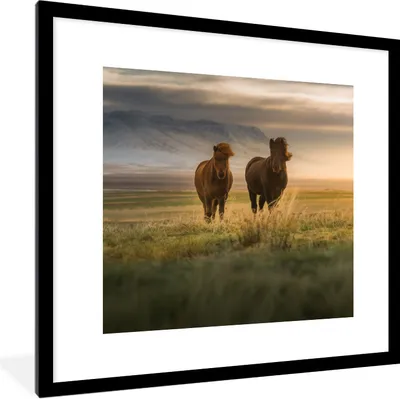 Produktbild von MuchoWow® Gerahmtes Poster Pferde - Luft - Gras 40x40 cm - Poster mit Schwarzem Bilderrahmen Wandposter Rahmen Foto Bilder - Poster - Plakat im Rahmen