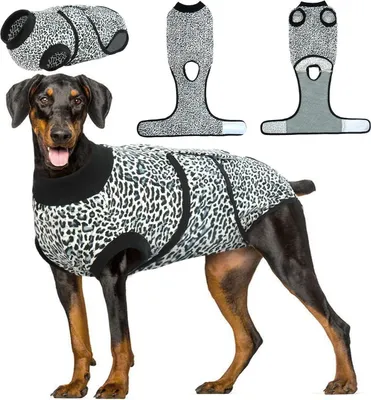 Image de Body chien chirurgie castration mâle femelle chat bleu XS-2XL