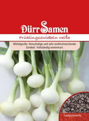 Produktbild von Frühlingszwiebel weiß | Frühlingszwiebelnsamen von Dürr Samen
