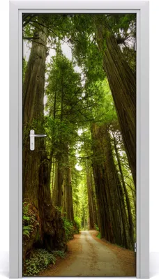 Produktbild von Tulup Türaufkleber 95x205 cm Dekorative Aufkleber Selbstklebend Wasserdichte Tapete Abnehmbar Schlafzimmer Wohnzimmer Wohnkultur - Weg im Wald