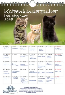 Produktbild von Katzenkinderzauber Planer DIN A4 Kalender für 2025 Katzenkinder Katzenbabys - Seelenzauber