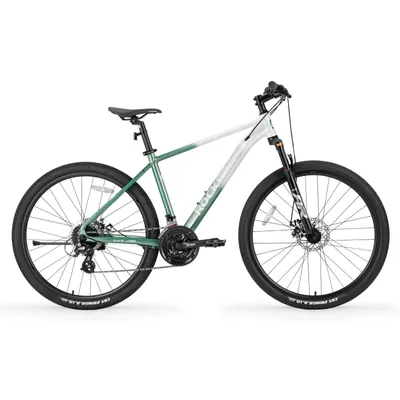 Produktbild von ROCKBROS MT200 Fahrrad 27,5 Zoll Scheibenbremse mit 24 Gang(3*8) MTB 16 Zoll Rahmen Grün