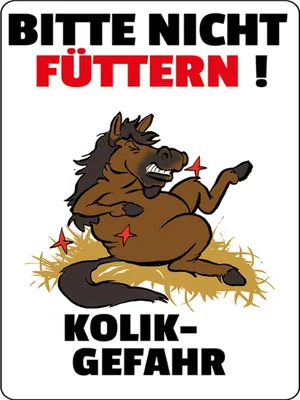 Produktbild von vianmo Holzschild 40x30 cm bitte nicht füttern Pferd Kolik