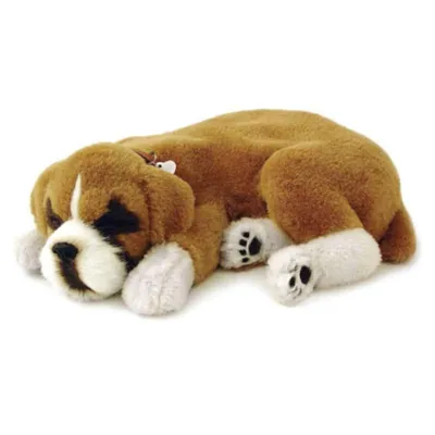 Produktbild von Perfect Petzzz Boxer lebensechtes Spielzeugtier mit Atemfunktion, 25 cm