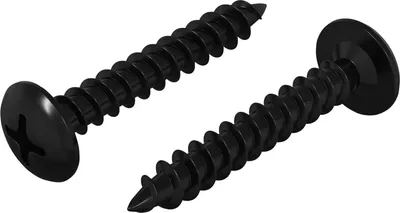 Immagine prodotto di vidaXL Chiodo autofilettante 2 pezzi Nero 4 x 25 mm acciaio