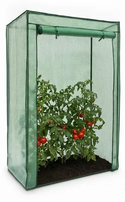 Immagine prodotto di Serra da orto pomodori - Serra in PE - 150 x 100 x 50 cm - Verde