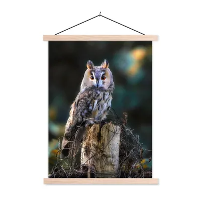 Produktbild von MuchoWow® Textilposter Eule - Herbst - Vogel - Äste 60x80 cm mit holzfarbenen Rahmen - Wandbild