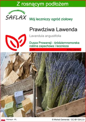 Zdjęcie produktu dla SAFLAX - Prawdziwa Lawenda - 150 Nasiona - Z podłożem uprawowym wolnym od zarazków - Lavandula angustifolia