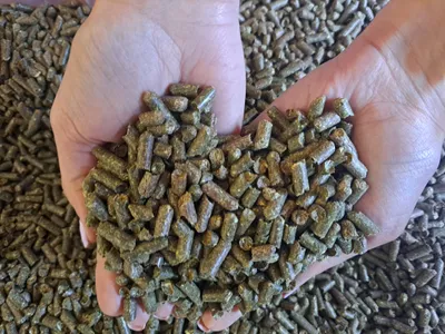 Zdjęcie produktu dla Trawokulki dla koni z traw z krainy jezior Sępólno Krajeńskie – 1 worek 15 kg