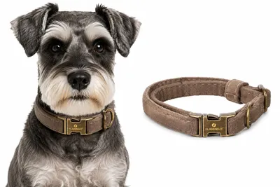 Produktbild von Halsband Hund - Janka Hundehalsband aus Nylon - Verstellbar - Robuster Klickvers