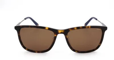Produktbild von Fila Sonnenbrille SFI214 0722 55 18 145