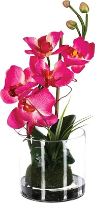 Image de Vase en verre avec fleur artificielle en rose, décoration durable pour tout intérieur