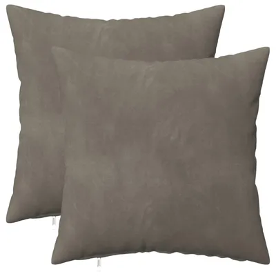Image de vidaXL Coussins décoratifs HEERLEN, lot de 2, gris clair, velours