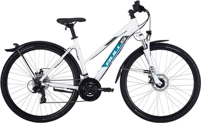 Produktbild von BULLS Wildcross Street 2022 | Rahmenhöhe: 48 cm