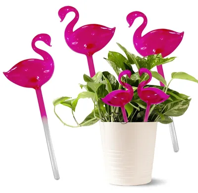 Image de Lot de 3 boules d'arrosage pour plantes