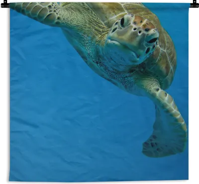 Produktbild von MuchoWow® Wandteppich Wandbehang Fotodruck Augenkontakt mit Schildkröte 150x150 cm Tapisserie Dekoration Wandtuch - Wohnaccessoires - Modernes