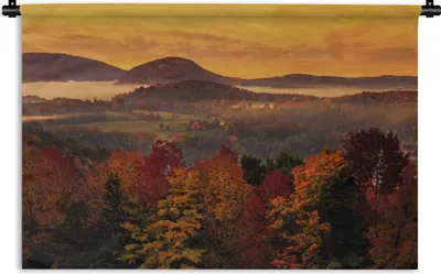 Produktbild von MuchoWow® Wandteppich Wandbehang Blick auf mehrere Ahornbäume und einen orangefarbenen Himmel 90x60 cm Tapisserie Dekoration Wandtuch - Wandskulpturen - Bildteppich