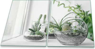 Produktbild von Herdabdeckplatten Spritzschutz Glas Universal 2teilig 2x40x52 Pflanzen Grün Deko
