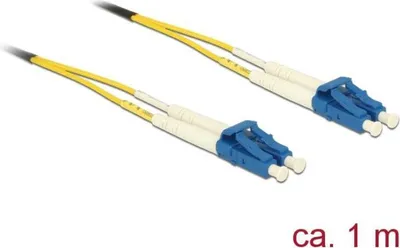 Image de DELOCK Kabel Lichtwellenleiter LC > LC Singlemode OS2 1 m
