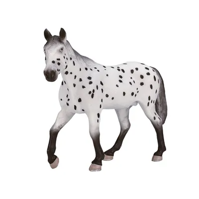 Obrázek produktu pro Mojo Appaloosa hřebec