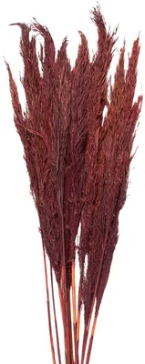 Obrázek produktu pro Sušené květiny v bambusové váze, výška 100 cm, červené, Clayre & Eef, 5DF0032