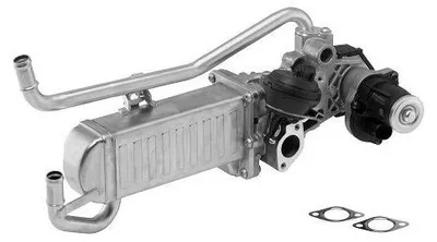 Produktbild von BorgWarner 710863D/1 Abgaskühler AGR-Modul für VW Polo Schrägheck (6R1, 6C1) für SKODA Fabia II Schrägheck (542) Fabia II Combi (545) ROOMSTER (5J)
