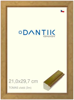 Obrázek produktu pro DANTIK rámeček 21x29,7 | TOMAS zlatá (Sklo Čiré)