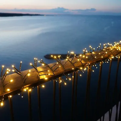 Produktbild von Sirius LED Lichterkette Easy-Line Cluster 2000 LED warmweiß außen 40 m grün