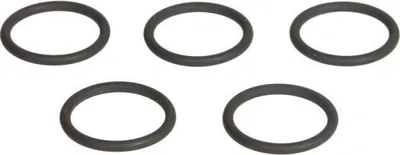Produktbild von 5x ENGITECH Dichtring Einspritzventil ENT250244 für AUDI 80 Limousine (8C2, B4) 2mm 17mm 19mm