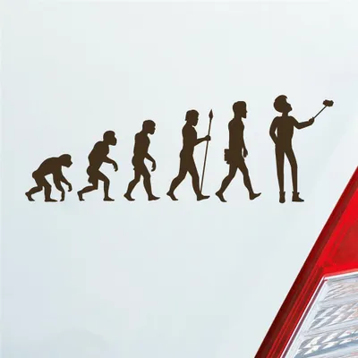 Produktbild von Auto Aufkleber Evolution Selfie Stick Handy Entwicklung Darwin 19x6,7 cm Braun Sticker Heckscheibenaufkleber